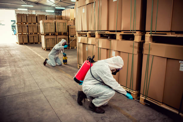 Best Commercial Pest Control Services  in Rainbow City, AL