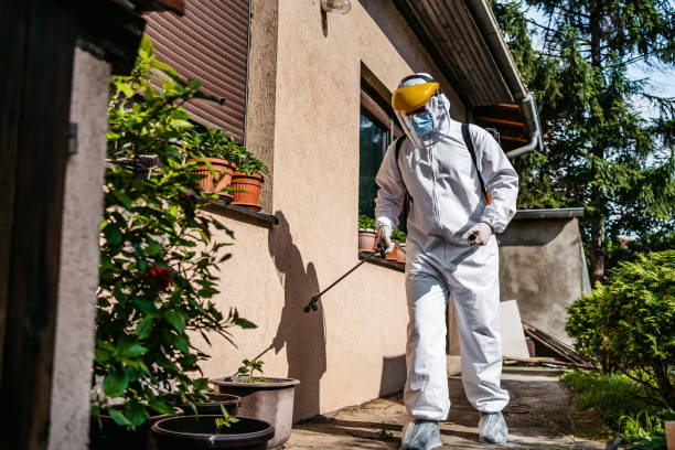 Best Best Pest Control Companies  in Rainbow City, AL