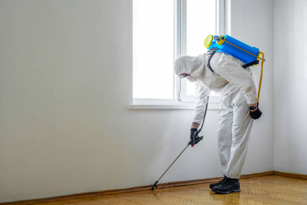 Best Pest Removal Services  in Rainbow City, AL