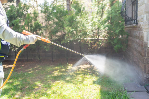 Reliable Rainbow City, AL Pest Control Solutions