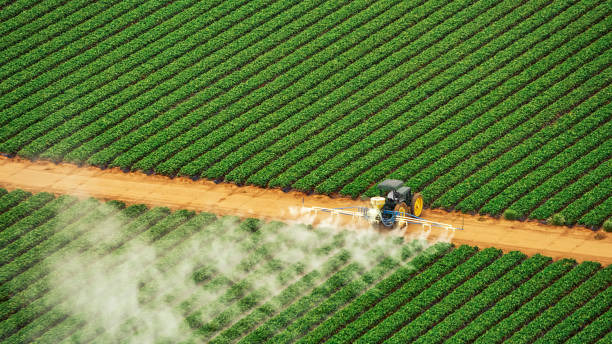 Best Pest Inspection Near Me  in Rainbow City, AL