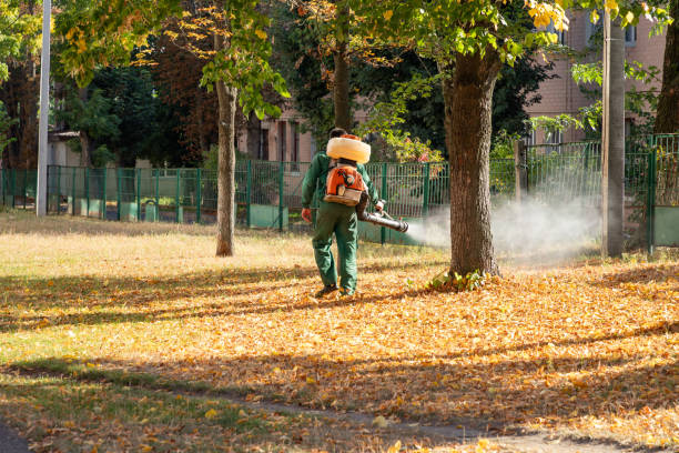 Trusted Rainbow City, AL Pest Control Experts